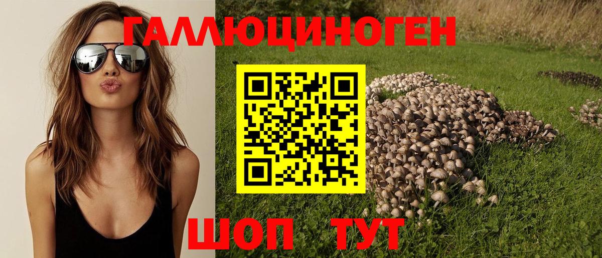 Вольск  где купить   Вход с VPN  Псилоцибиновые грибы Cubensis 