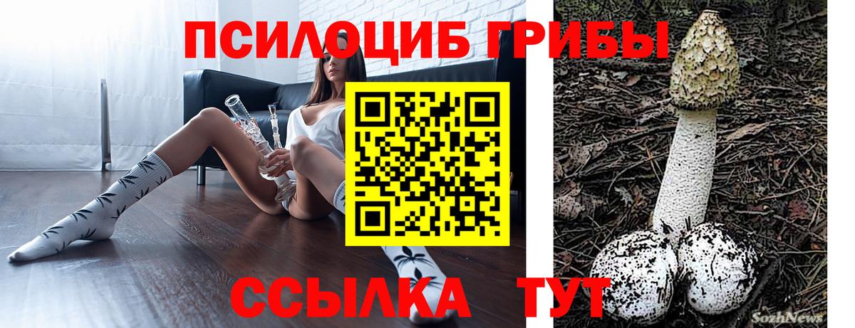 Псилоцибиновые грибы Psilocybe  Вольск 