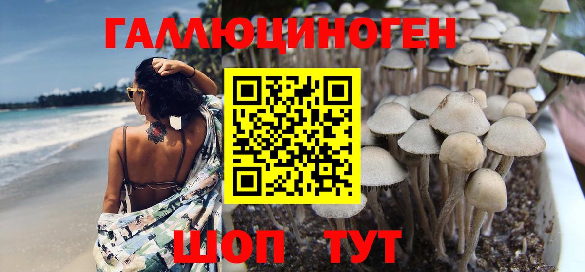 Бошки Шишки Вольск