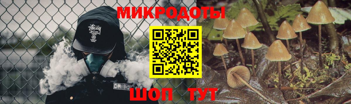 Псилоцибиновые грибы мухоморы Вольск