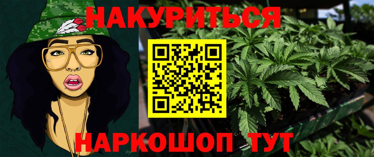 Бошки марихуана планчик  Вольск  МАРИХУАНА гибрид  Бошки марихуана OG Kush 